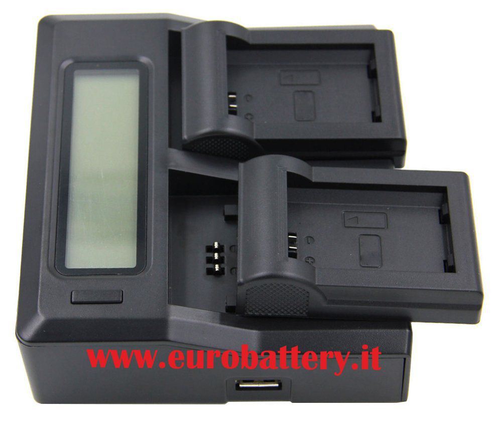 http://www.eurobattery.it/Foto-ebay/chk/Dual-Blu/DUAL-5-.jpg