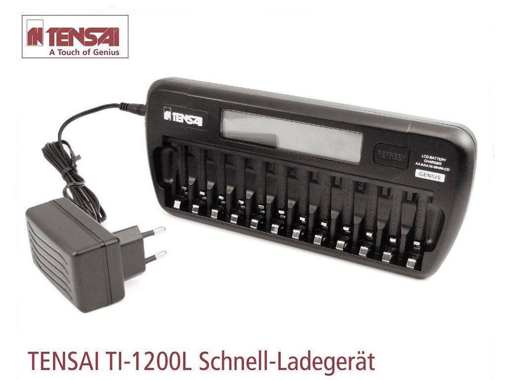 EVERACTIVE GENIUS NC-1200 Charger 12 stilo AA e ministilo AAA